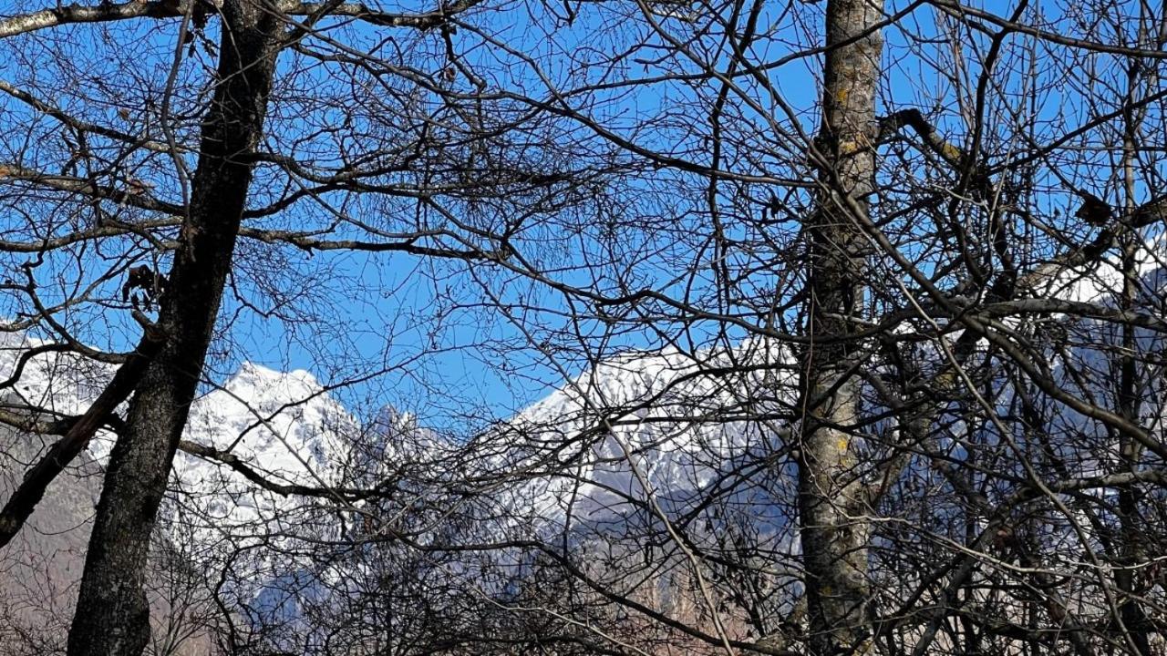 Superbe *